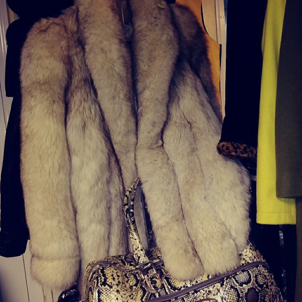 Blue fox fur
